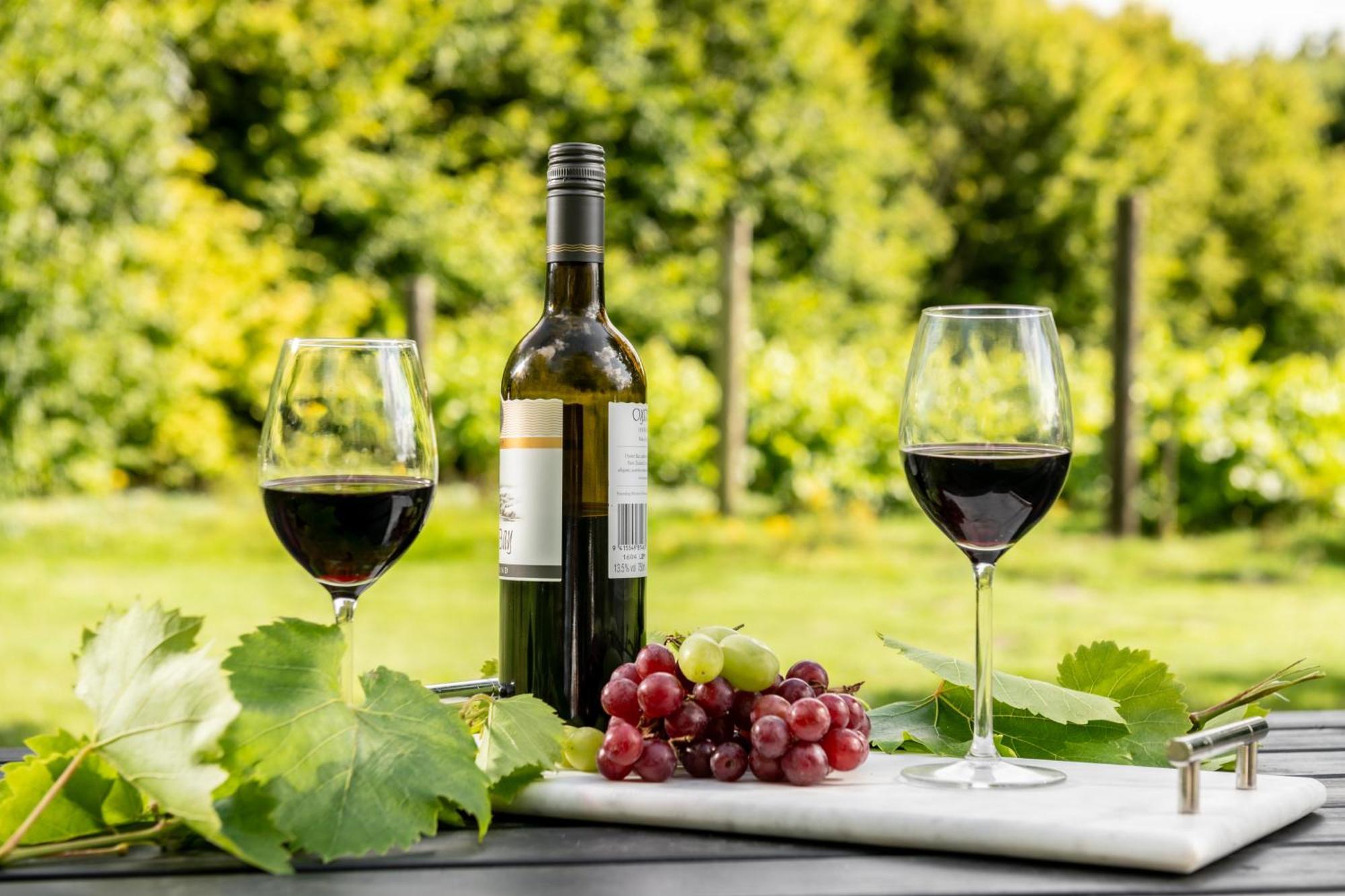 Downwood Vineyard Manor In Idyllic Countryside Villa Blandford Forum Kültér fotó